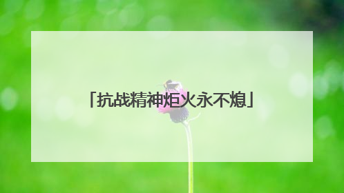 抗战精神炬火永不熄