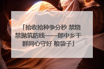 抢收抢种争分秒 禁烧禁抛筑防线——郎中乡干群同心守好 粮袋子