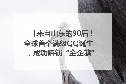 来自山东的90后！全球首个满级QQ诞生，成功解锁“金企鹅”，是继承父亲账号