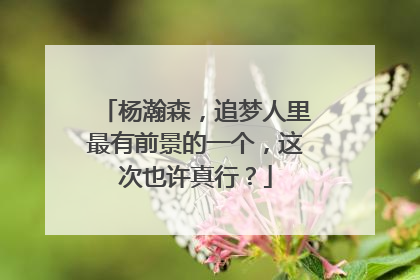 杨瀚森，追梦人里最有前景的一个，这次也许真行？