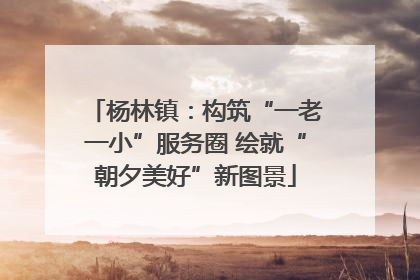 杨林镇：构筑“一老一小”服务圈 绘就“朝夕美好”新图景