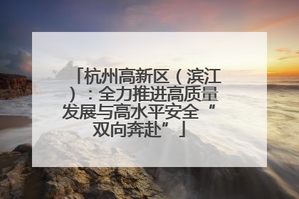 杭州高新区（滨江）：全力推进高质量发展与高水平安全“双向奔赴”