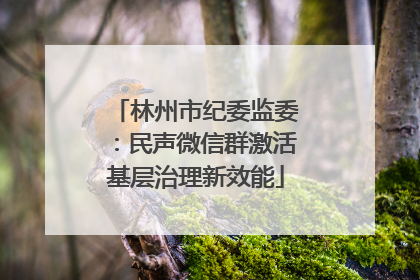 林州市纪委监委：民声微信群激活基层治理新效能