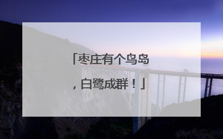 枣庄有个鸟岛，白鹭成群！