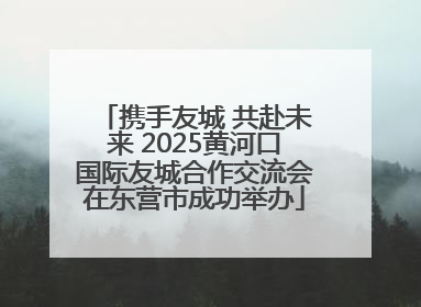 携手友城 共赴未来 2025黄河口国际友城合作交流会在东营市成功举办