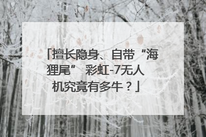 擅长隐身、自带“海狸尾” 彩虹-7无人机究竟有多牛？