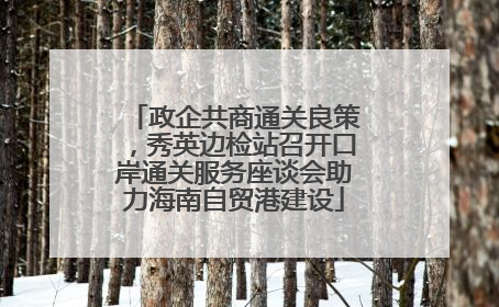 政企共商通关良策，秀英边检站召开口岸通关服务座谈会助力海南自贸港建设