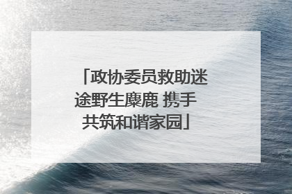 政协委员救助迷途野生麋鹿 携手共筑和谐家园