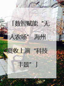 数智赋能“无人农场” 海州夏收上演“科技丰景”
