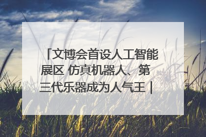文博会首设人工智能展区 仿真机器人、第三代乐器成为人气王｜文博向“新”