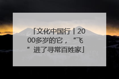文化中国行丨2000多岁的它，“飞”进了寻常百姓家