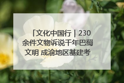 文化中国行｜230余件文物诉说千年巴蜀文明 成渝地区基建考古成果展开展
