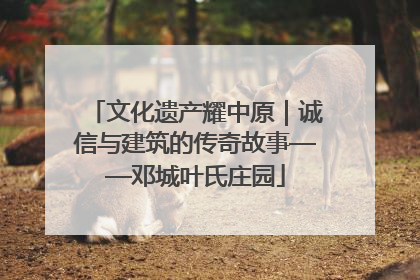文化遗产耀中原｜诚信与建筑的传奇故事——邓城叶氏庄园