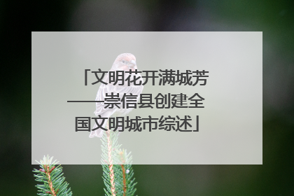 文明花开满城芳——崇信县创建全国文明城市综述
