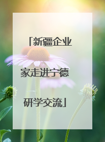 新疆企业家走进宁德研学交流
