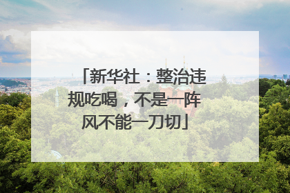 新华社：整治违规吃喝，不是一阵风不能一刀切