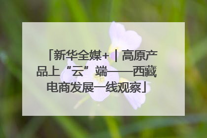新华全媒+｜高原产品上“云”端——西藏电商发展一线观察
