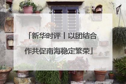 新华时评丨以团结合作共促南海稳定繁荣