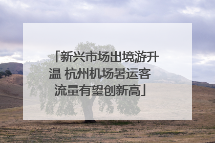 新兴市场出境游升温 杭州机场暑运客流量有望创新高