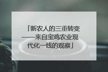 新农人的三重转变——来自宝鸡农业现代化一线的观察