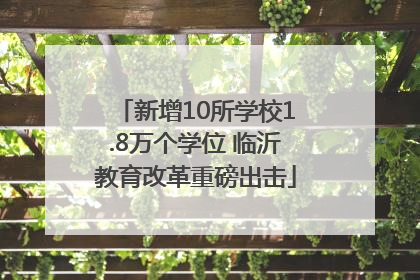 新增10所学校1.8万个学位 临沂教育改革重磅出击