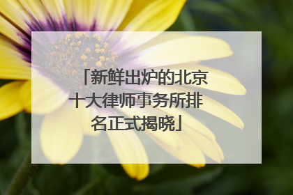 新鲜出炉的北京十大律师事务所排名正式揭晓