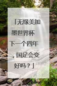 无缘美加墨世界杯 下一个四年，国足会变好吗？