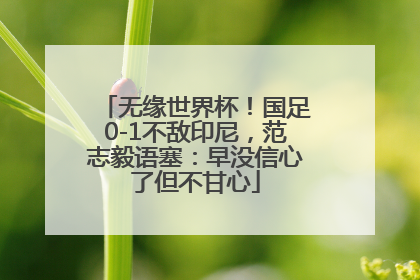 无缘世界杯！国足0-1不敌印尼，范志毅语塞：早没信心了但不甘心