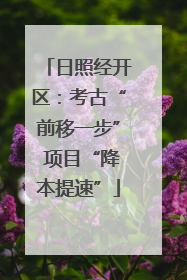 日照经开区：考古“前移一步” 项目“降本提速”