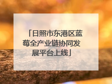 日照市东港区蓝莓全产业链协同发展平台上线