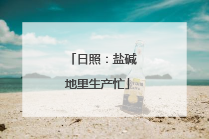 日照：盐碱地里生产忙