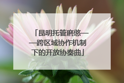 昆明托管磨憨——跨区域协作机制下的开放协奏曲