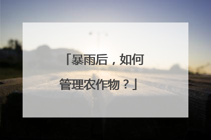 暴雨后，如何管理农作物？