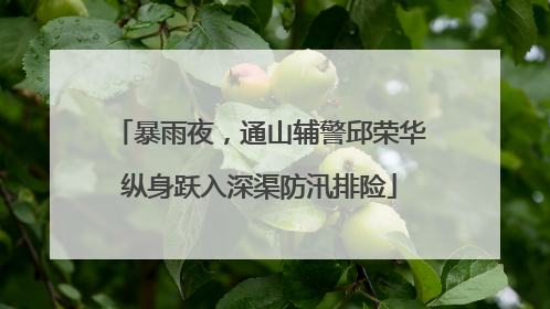 暴雨夜，通山辅警邱荣华纵身跃入深渠防汛排险