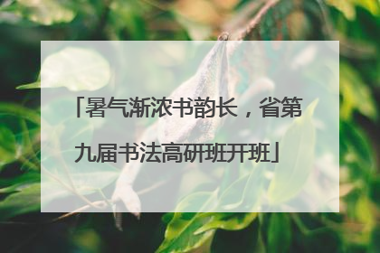 暑气渐浓书韵长，省第九届书法高研班开班