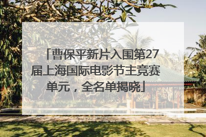 曹保平新片入围第27届上海国际电影节主竞赛单元，全名单揭晓