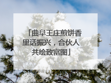 曲阜王庄煎饼香里话振兴，合伙人共绘致富图