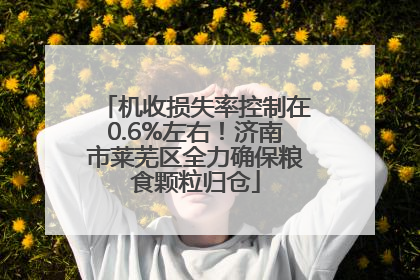 机收损失率控制在0.6%左右！济南市莱芜区全力确保粮食颗粒归仓