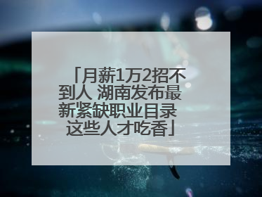 月薪1万2招不到人 湖南发布最新紧缺职业目录 这些人才吃香
