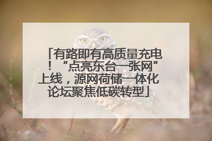 有路即有高质量充电！“点亮东台一张网”上线，源网荷储一体化论坛聚焦低碳转型