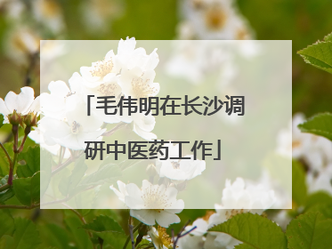 毛伟明在长沙调研中医药工作