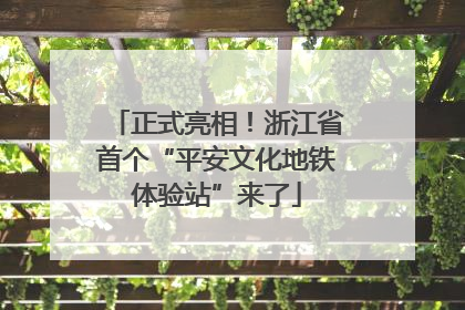 正式亮相！浙江省首个“平安文化地铁体验站”来了