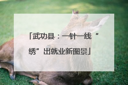武功县：一针一线“绣”出就业新图景