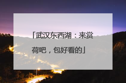 武汉东西湖：来赏荷吧，包好看的