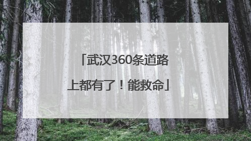 武汉360条道路上都有了！能救命