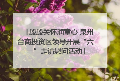 殷殷关怀润童心 泉州台商投资区领导开展“六一”走访慰问活动