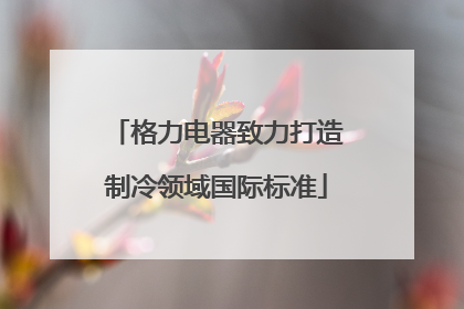 格力电器致力打造制冷领域国际标准