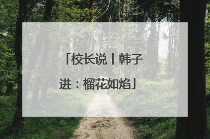 校长说丨韩子进：榴花如焰