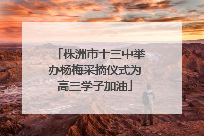 株洲市十三中举办杨梅采摘仪式为高三学子加油