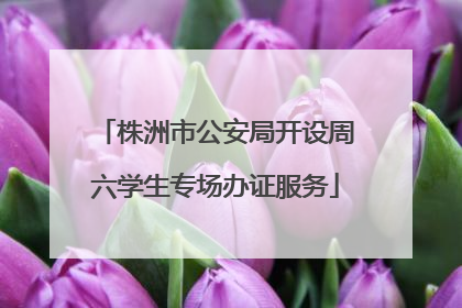 株洲市公安局开设周六学生专场办证服务